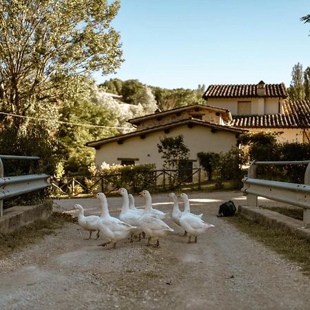 Agriturismo Le Radici Umbertide Kültér fotó