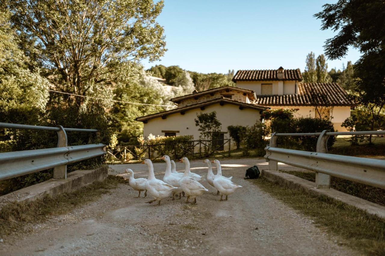 Agriturismo Le Radici Umbertide Kültér fotó