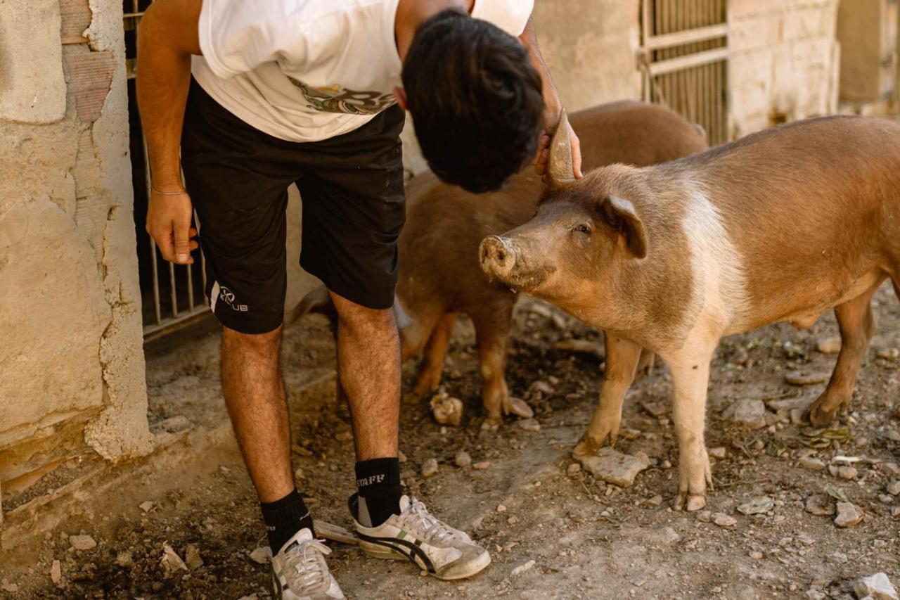 Agriturismo Le Radici Umbertide Kültér fotó