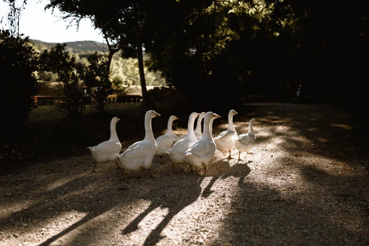 Agriturismo Le Radici Umbertide Kültér fotó