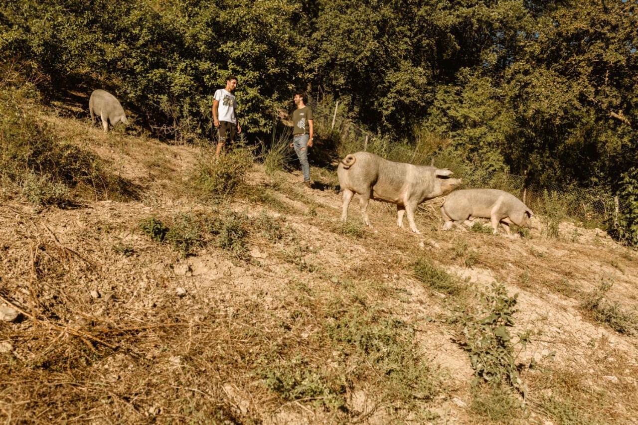 Agriturismo Le Radici Umbertide Kültér fotó