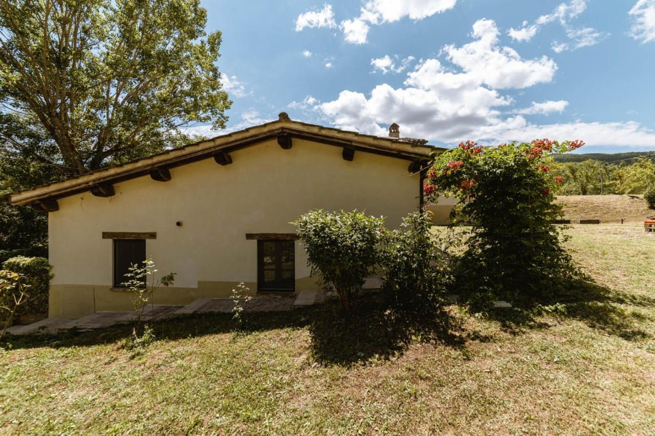 Agriturismo Le Radici Umbertide Kültér fotó
