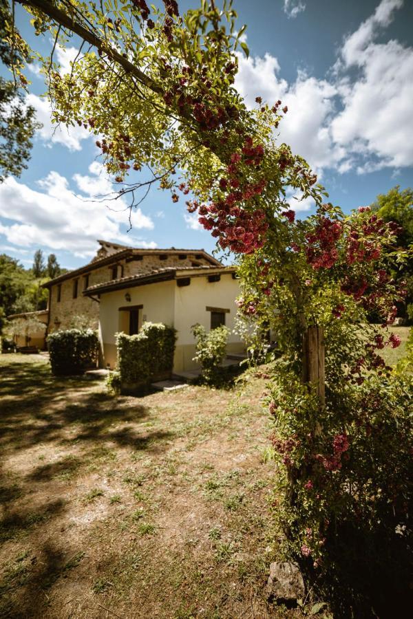 Agriturismo Le Radici Umbertide Kültér fotó